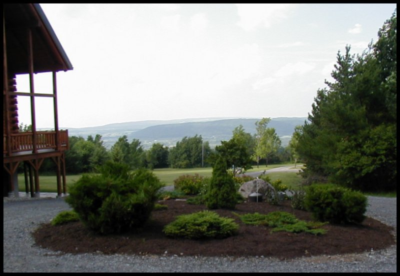 Landscaping Job